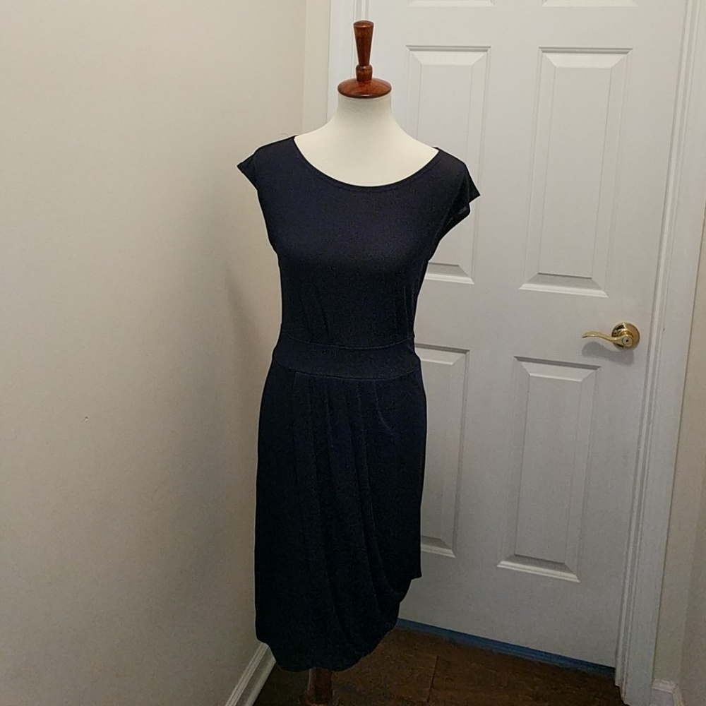 Zara Navy Dress